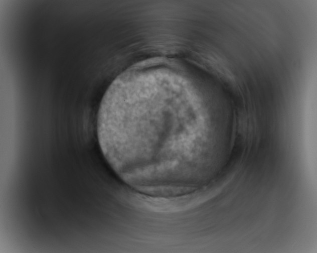 X0000092050030200710031050