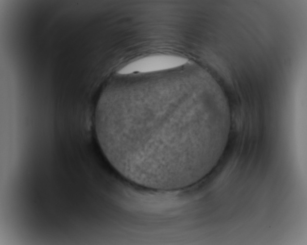 X0000092050032200710031050