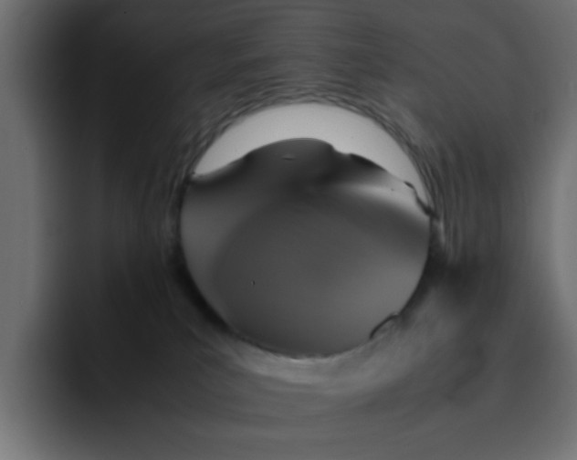 X0000092050039200710031050