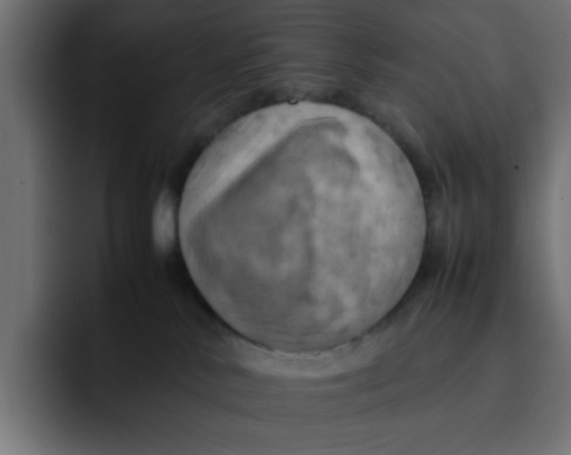 X0000092050042200710031050