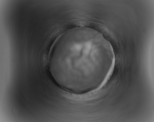 X0000092050043200710031050