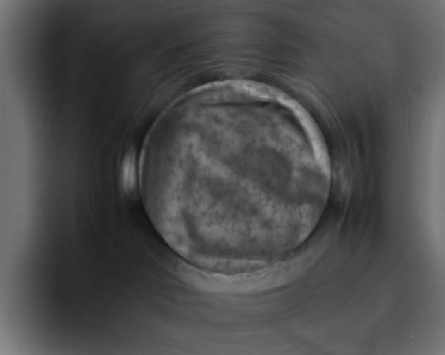 X0000092050046200710031050