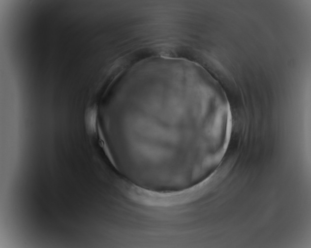 X0000092050047200710031050