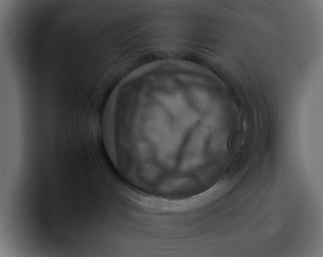 X0000092050048200710031050