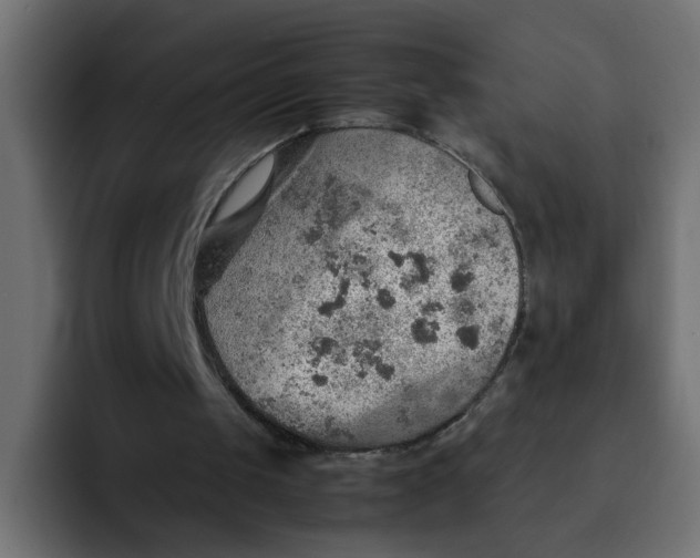 X0000092050049200710031050