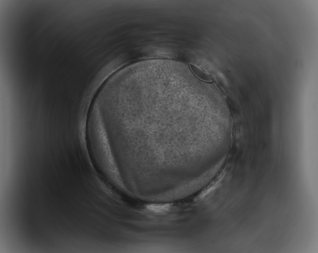 X0000092050051200710031050