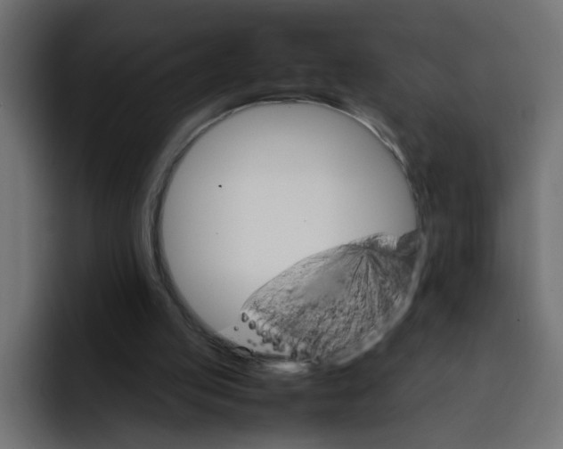 X0000092050053200710031050