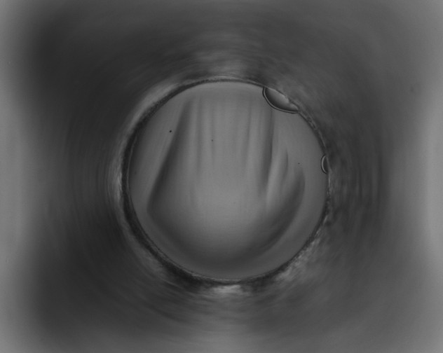 X0000092050054200710031050