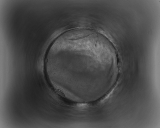 X0000092050055200710031050