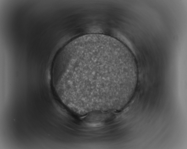 X0000092050059200710031050