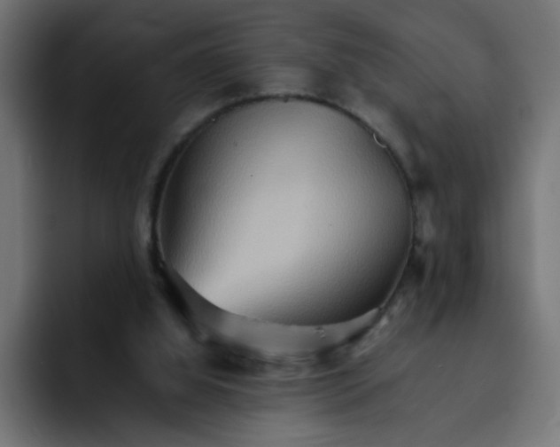 X0000092050060200710031050