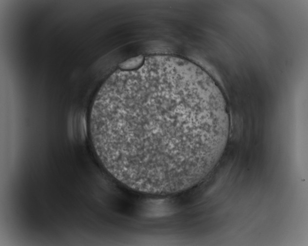 X0000092050061200710031050