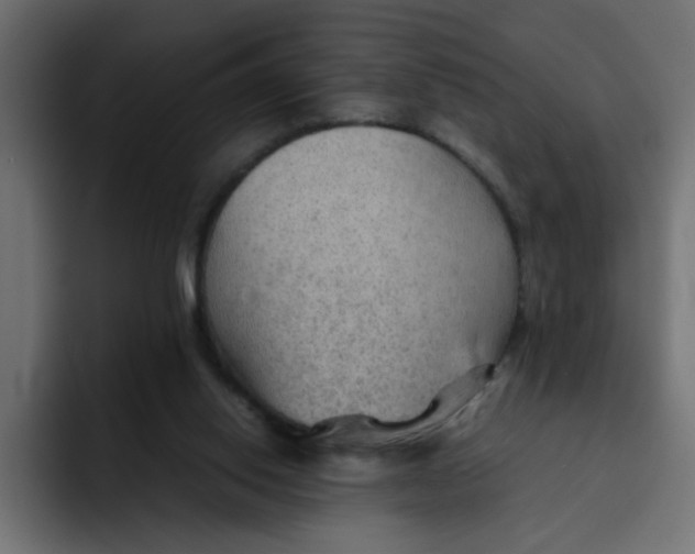 X0000092050062200710031050