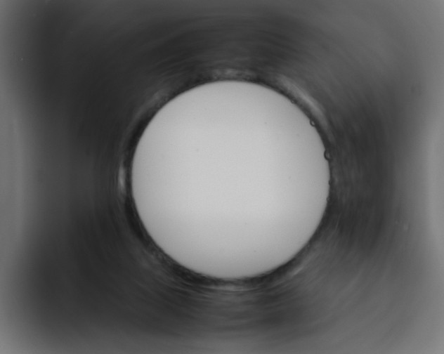 X0000092050067200710031050