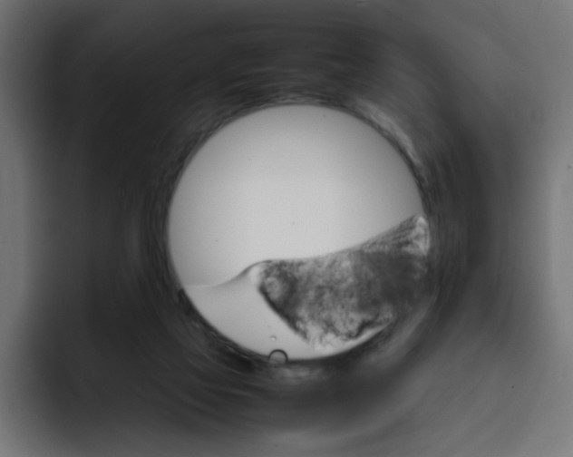 X0000092050069200710031050