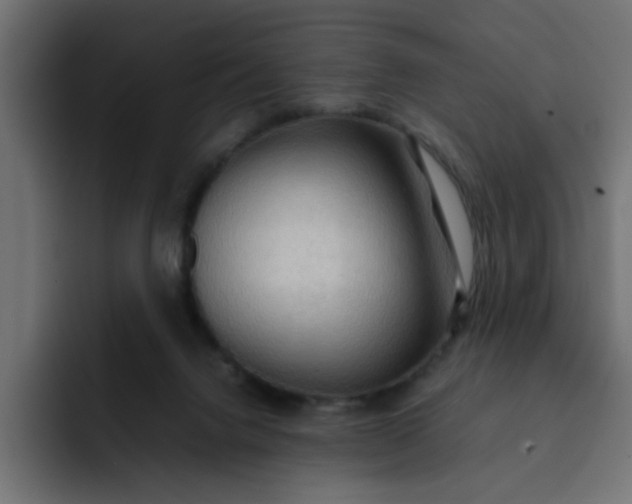 X0000092050072200710031050