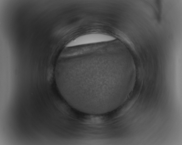 X0000092050073200710031050