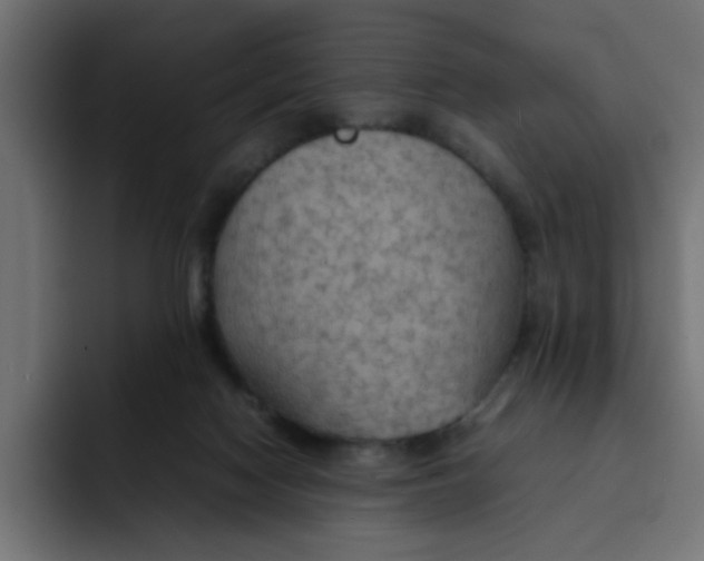 X0000092050074200710031050