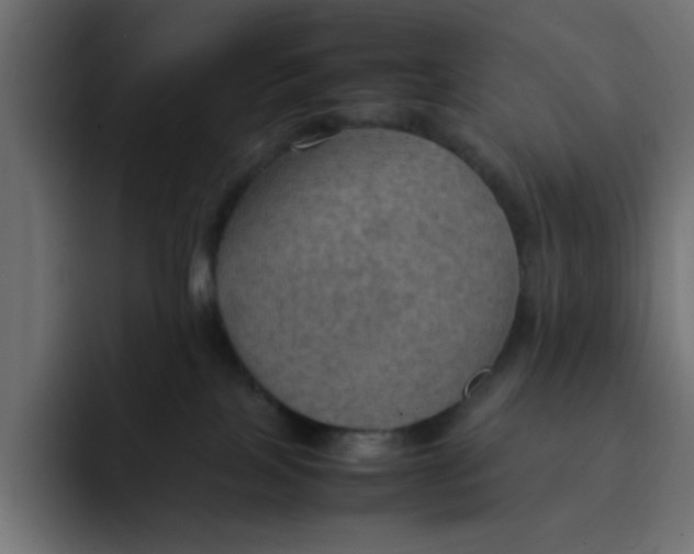 X0000092050089200710031050