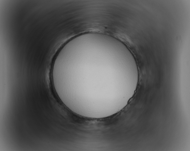 X0000092050098200710031050