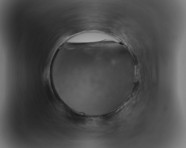 X0000092050099200710031050