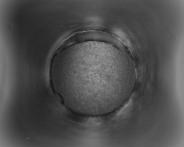 X0000092050101200710031049