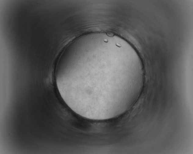 X0000092050105200710031049