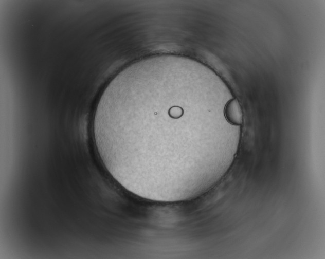 X0000092050106200710031049