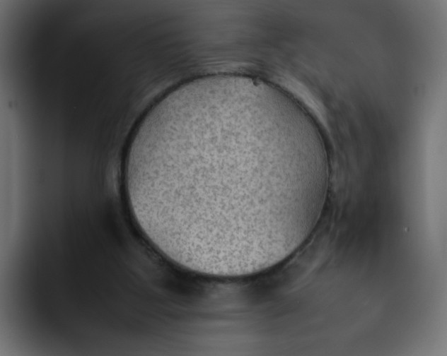 X0000092050107200710031049