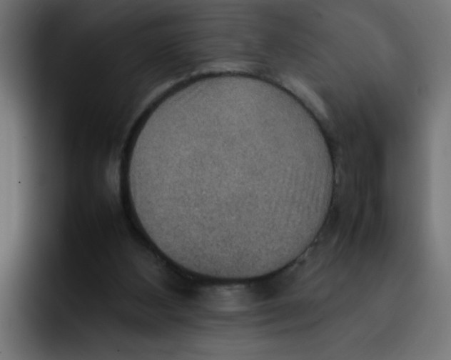 X0000092050108200710031049