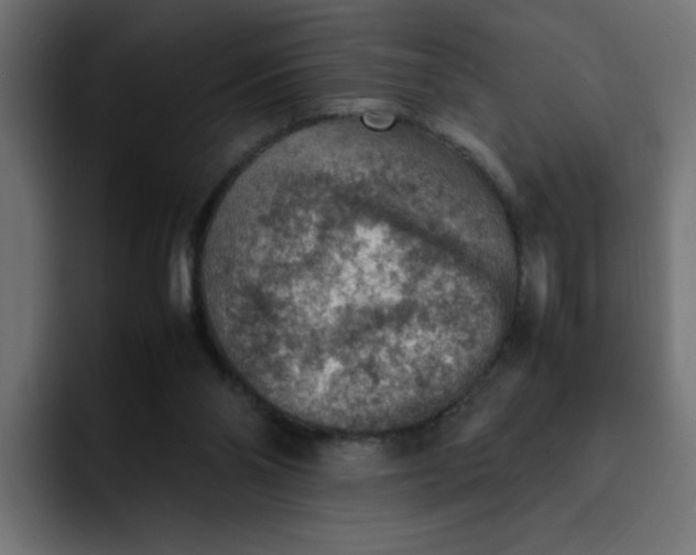 X0000092050110200710031049