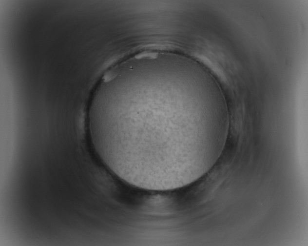 X0000092050111200710031049