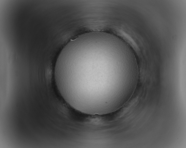 X0000092050113200710031049