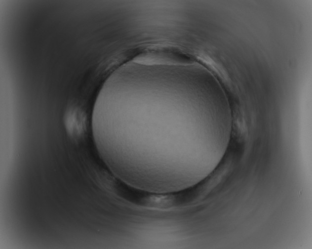 X0000092050117200710031049