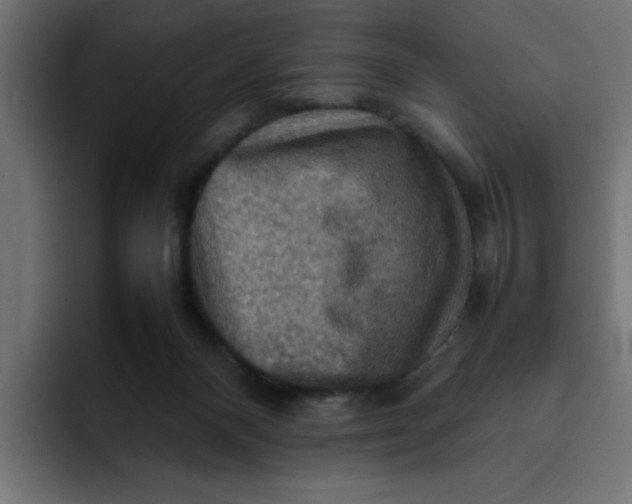 X0000092050120200710031049