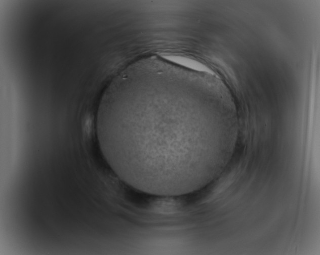 X0000092050123200710031049