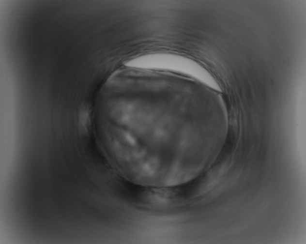 X0000092050127200710031049