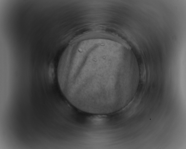 X0000092050128200710031049