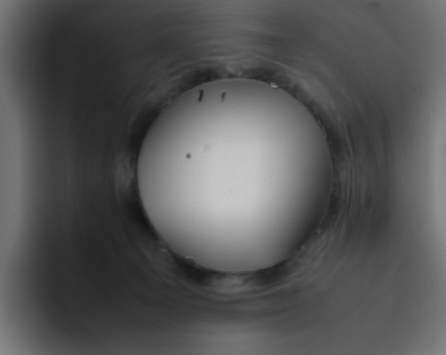 X0000092050129200710031049