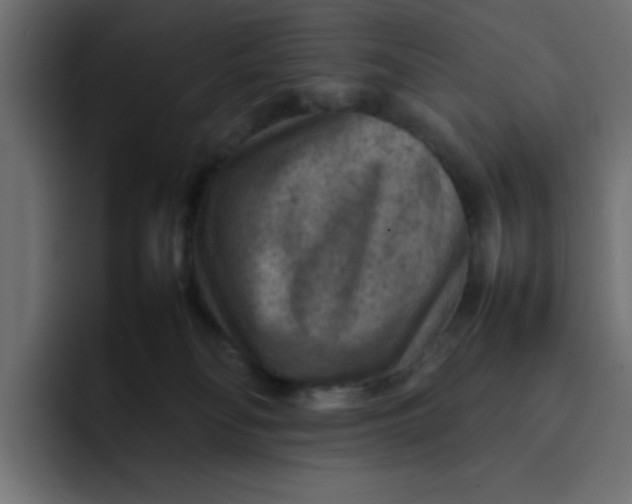 X0000092050134200710031049