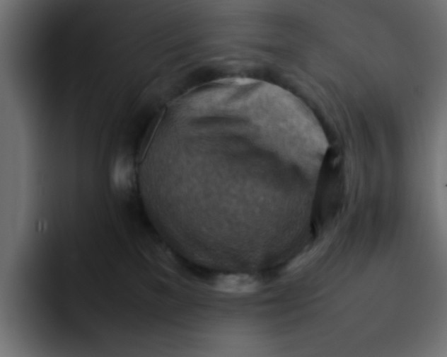 X0000092050137200710031049