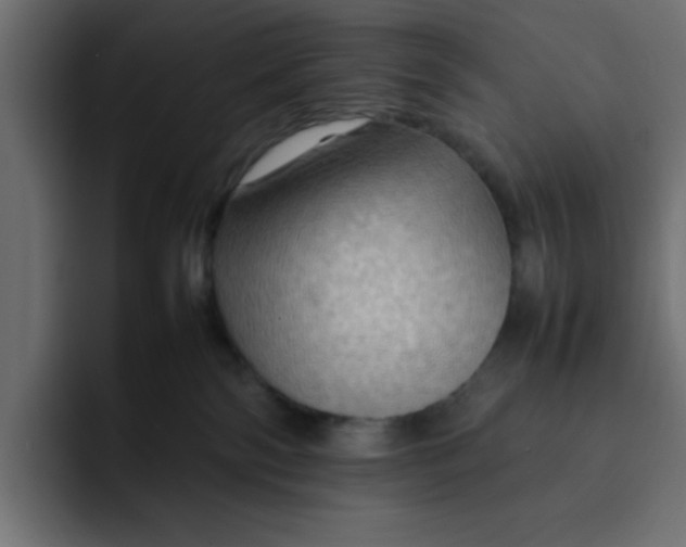 X0000092050138200710031049