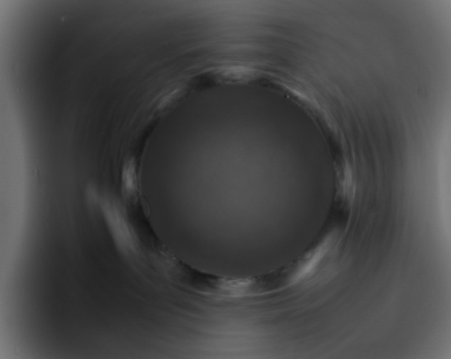 X0000092050143200710031049