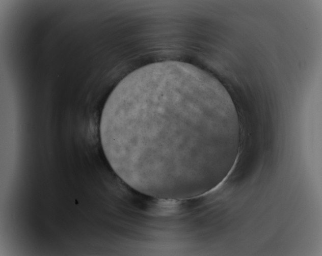 X0000092050144200710031049