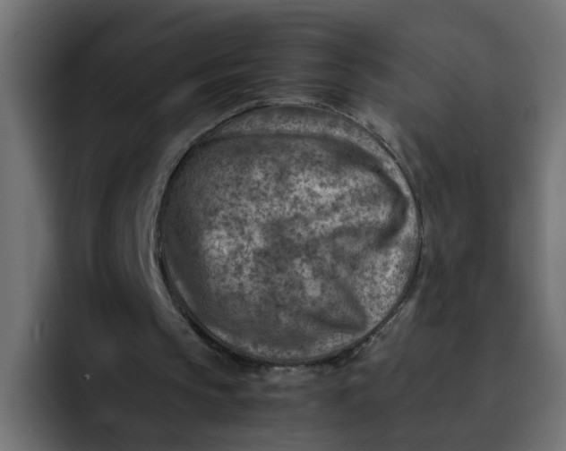 X0000092050145200710031048