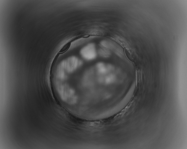 X0000092050147200710031048