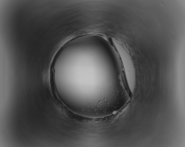 X0000092050148200710031048