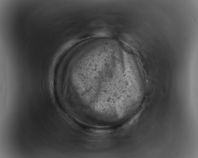 X0000092050149200710031048