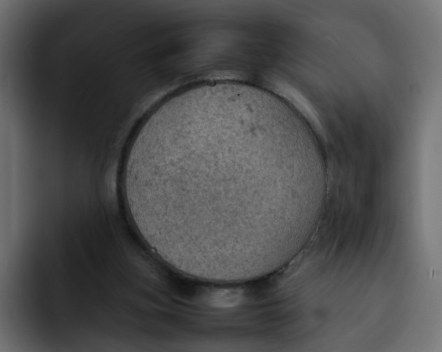 X0000092050155200710031049