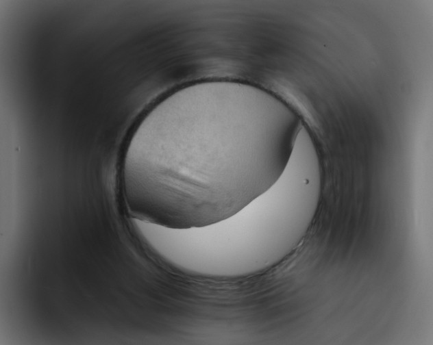 X0000092050156200710031049